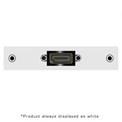 Single Spaced AI, DisplayPort Female