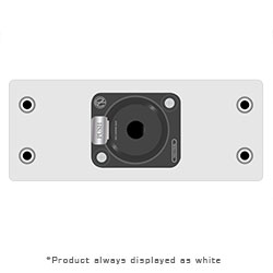 Double AI, Neutrik 1/4 Locking TRS