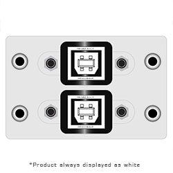 Double Spaced MAI, (2) USB BA Pigtail