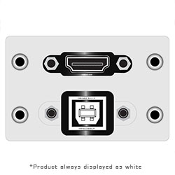 Double Sp MAI, HDMI Female, USB BA Pigtail