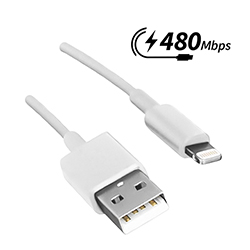 USB A to Lightning Cable, White