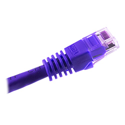 Cat 6, RJ45 to RJ45, Purple Jacket