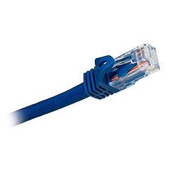 Cat 6a, RJ45 to RJ45, Blue Jacket