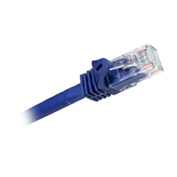 Cat 6a, RJ45 to RJ45, Purple Jacket