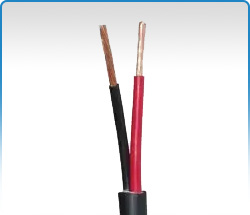 Audio Speaker Cable