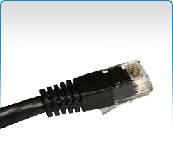 Cat 6