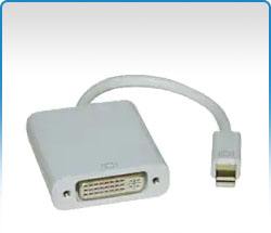 DVI & DisplayPort